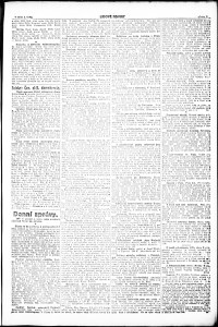 Lidov noviny z 3.1.1919, edice 1, strana 3