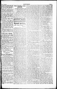 Lidov noviny z 4.7.1919, edice 1, strana 3