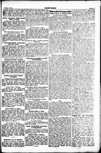 Lidov noviny z 7.2.1919, edice 1, strana 3