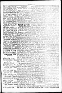 Lidov noviny z 7.6.1919, edice 1, strana 5