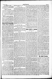 Lidov noviny z 9.4.1919, edice 1, strana 5