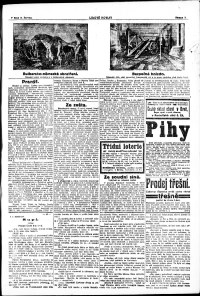 Lidov noviny z 9.6.1917, edice 2, strana 3