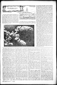 Lidov noviny z 12.5.1933, edice 2, strana 3