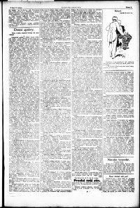 Lidov noviny z 17.5.1921, edice 2, strana 3