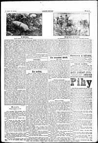 Lidov noviny z 20.4.1917, edice 2, strana 3