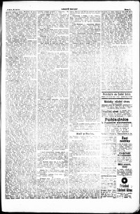 Lidov noviny z 20.6.1919, edice 2, strana 3