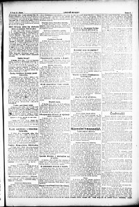 Lidov noviny z 21.3.1919, edice 1, strana 3