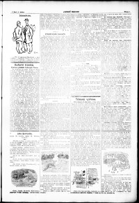 Lidov noviny z 21.5.1920, edice 1, strana 5