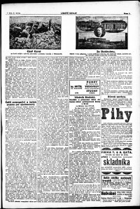 Lidov noviny z 21.6.1917, edice 1, strana 3