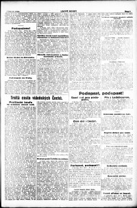 Lidov noviny z 23.5.1919, edice 1, strana 3