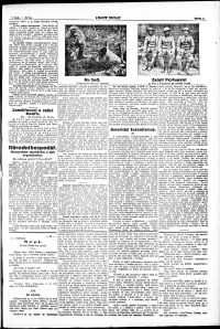Lidov noviny z 23.6.1917, edice 2, strana 3