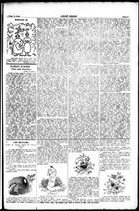 Lidov noviny z 24.4.1920, edice 1, strana 9