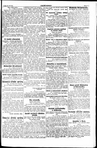 Lidov noviny z 24.7.1917, edice 1, strana 3