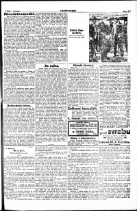 Lidov noviny z 24.7.1917, edice 2, strana 3