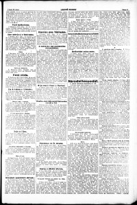 Lidov noviny z 25.2.1919, edice 1, strana 3