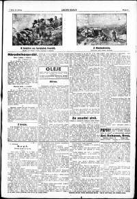 Lidov noviny z 25.6.1917, edice 2, strana 3