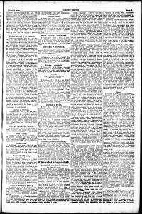 Lidov noviny z 28.1.1919, edice 1, strana 3
