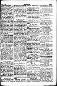 Lidov noviny z 29.1.1919, edice 1, strana 3