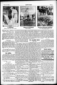 Lidov noviny z 29.5.1917, edice 2, strana 3