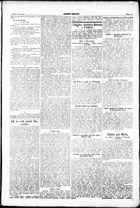 Lidov noviny z 29.6.1920, edice 1, strana 3